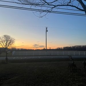 Meet your Posher, Bella